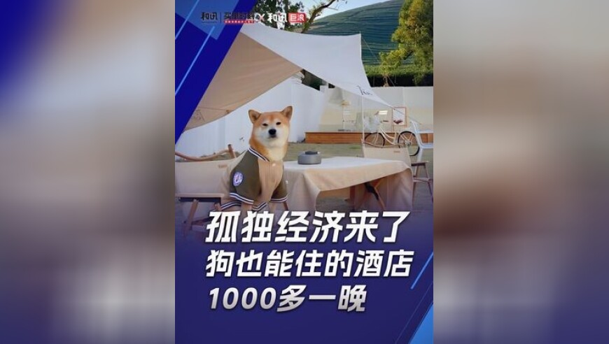 原来潘长江是评剧世家,123澳门正版资料免费查询,国产化作答解释落实_钱包版V2.79